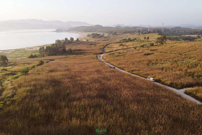 读报告话落实｜刘学文委员：挖掘地方特色文化 赋能和美乡村建设